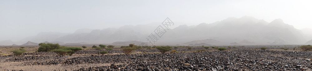 约旦山附近的岩石沙漠图片