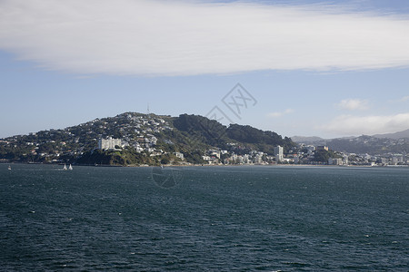 FerryView惠灵顿新西兰南岛图片