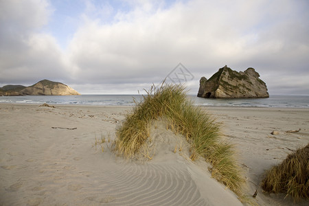 永别了新西兰海滩岩石干草堆背景