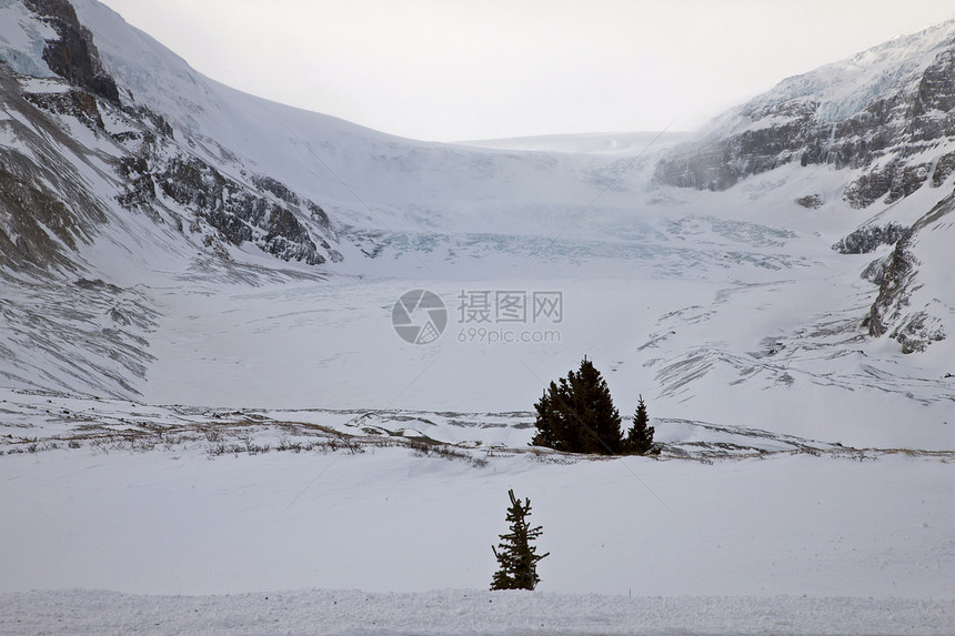 艾伯塔洛基山加拿大冬季图片