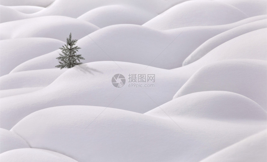 Moguls和树木长青白雪山图片