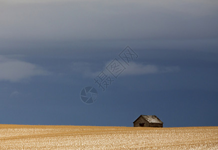 加拿大萨斯喀彻温省冬季的Prairie景观背景图片