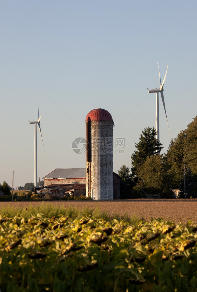 加拿大南奥纳塔罗的风农场和锡洛图片