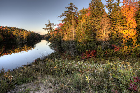 安大略省马斯科卡阿尔冈琴湖秋天的颜色背景