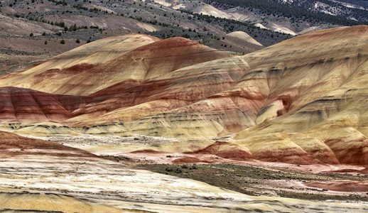 红色和棕风景图片