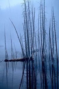 黄石公园雾蒸气和湖泊反射背景图片