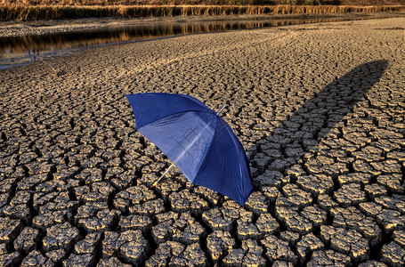 河床和雨伞干洗图片
