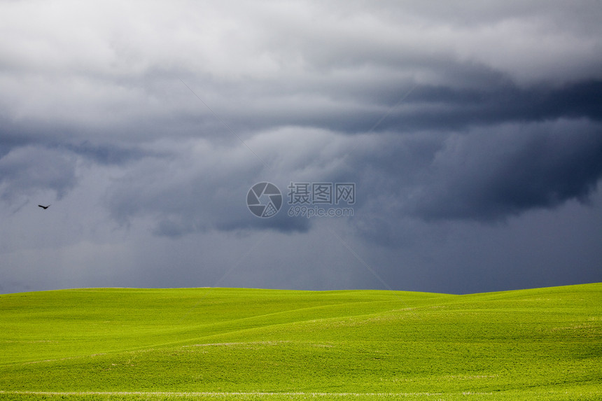 萨斯喀彻温省草原上阴云密布图片