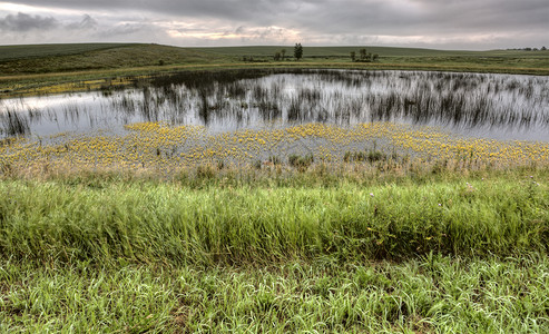 萨斯喀彻温的暴风雨萨斯喀彻温日落在草原上图片