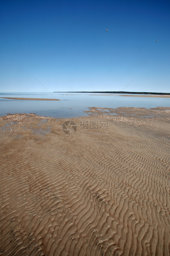 温尼伯湖沿岸沙滩图片