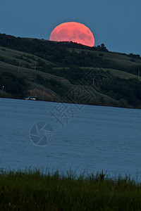 满月在布法罗磅湖上空图片
