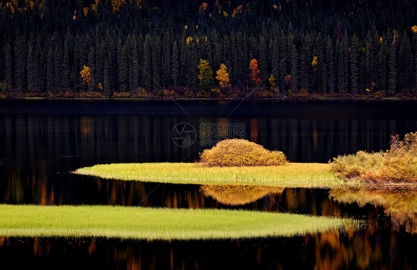 秋季水反射图片