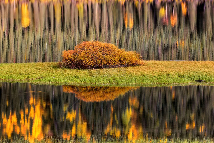 秋季水反射图片