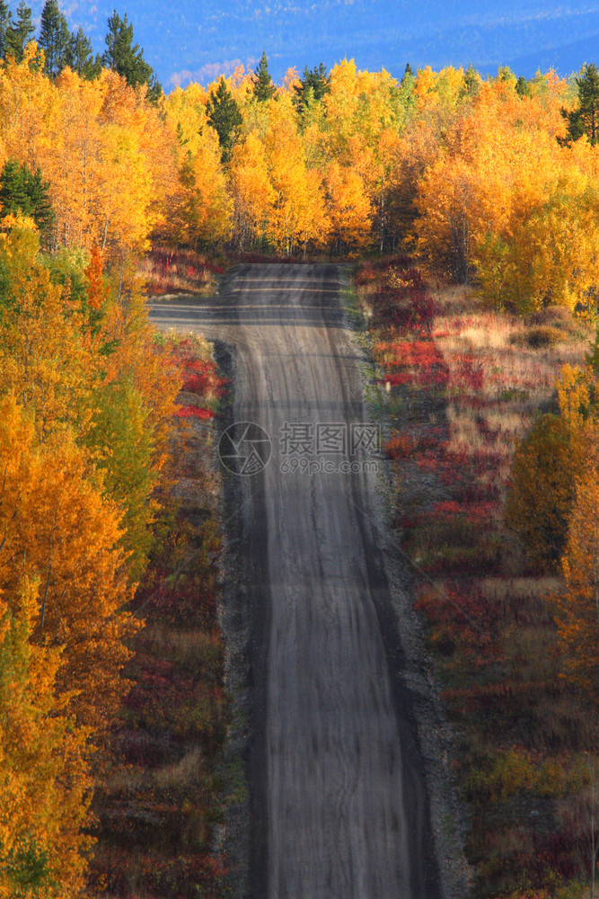 不列颠哥伦比亚省公路沿线的秋树图片