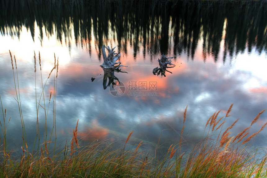 不列颠哥伦比亚省山池的反射图片
