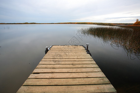 Meadow湖公园穆斯托码头图片