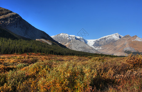 冰田公园一带洛基山脉的景象图片