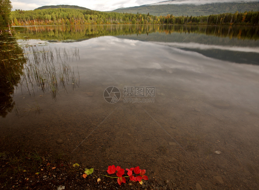 不列颠哥伦比亚省山湖反思图片