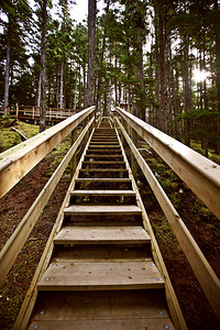 Kitsumkalum省立公园的木楼梯图片