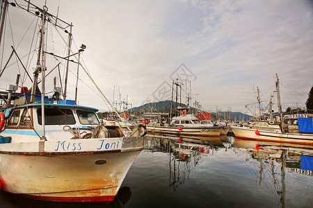 鲁朴王子号渔船码头图片