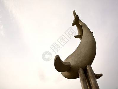 鲁朴王子的虎鲸雕像图片