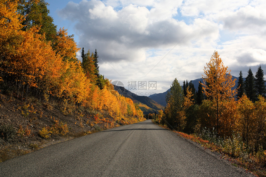 不列颠哥伦比亚省公路上的秋季颜色图片
