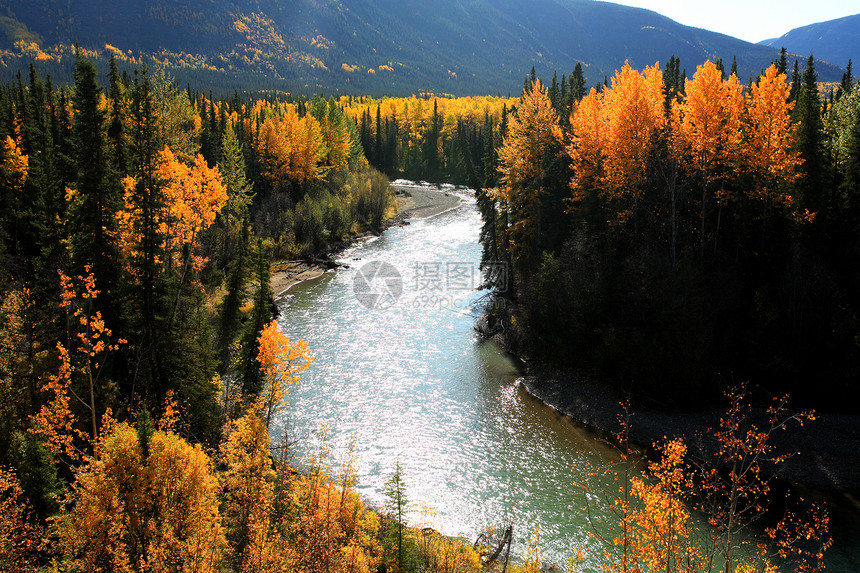 不列颠哥伦比亚省北部河的秋色图片
