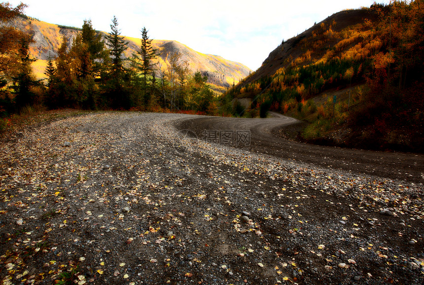 不列颠哥伦比亚省北部公路上的秋色图片