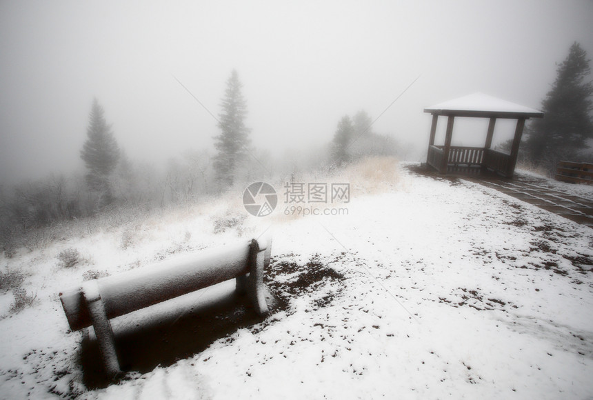 萨斯喀彻温省CypressHills省公园的冰雾图片