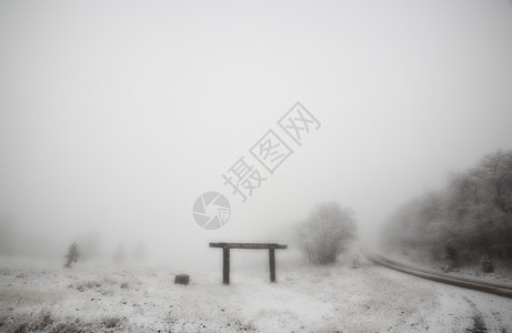 萨斯喀彻温省CypressHills省公园的冰雾背景图片