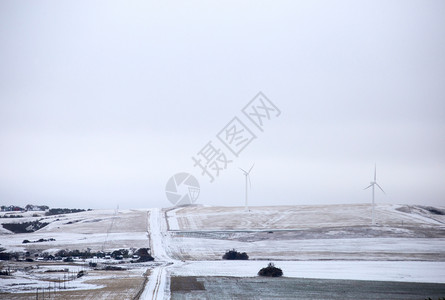 萨斯喀彻温风田第一次下雪加拿大图片