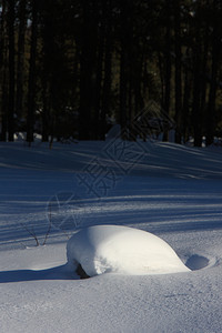 加拿大冬季的雪景图片