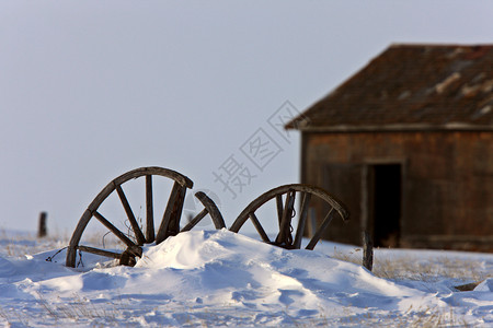 冬季萨斯喀彻温的Wagon轮高清图片