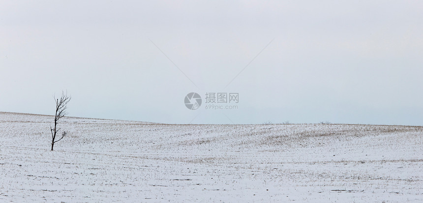 风景萨斯喀彻温大草原田园风光全景降雪图片