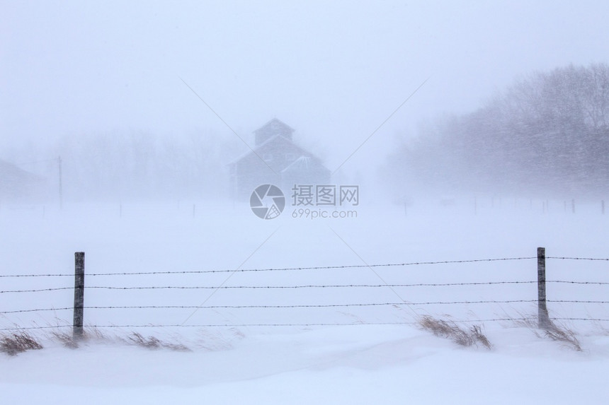 萨斯喀彻温平原冬季极端寒冷的草原风景图片