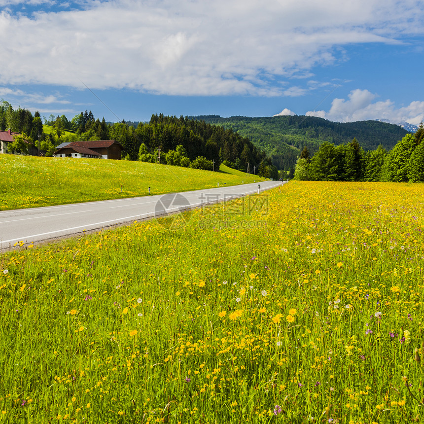 奥地利貌覆盖森林田牧场和草原的荒道路图片