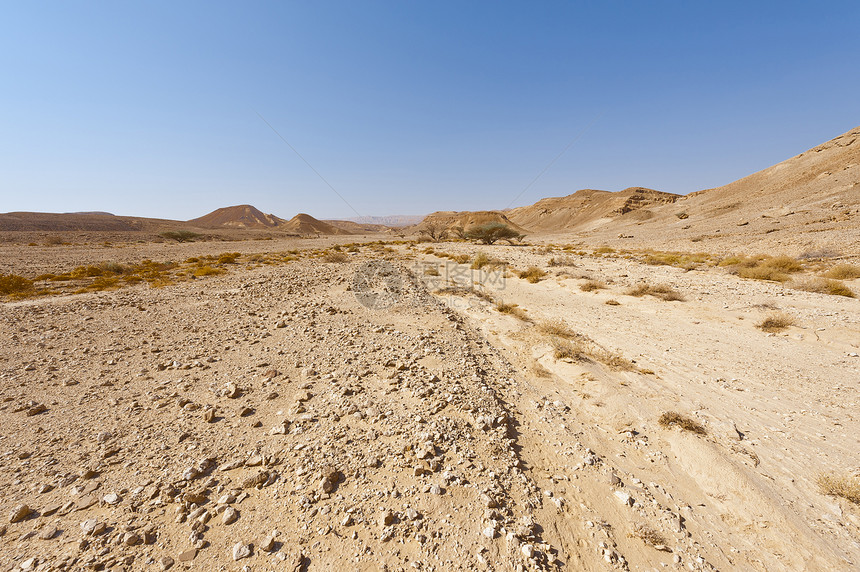 以色列内盖夫沙漠岩石山丘的忧郁和空虚中东令人窒息的景观和质图片