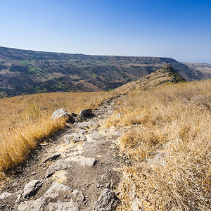 位于以色列戈兰高地的甘拉自然保护区图片