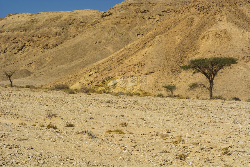 以色列内盖夫沙漠的落基山以色列南部岩层令人窒息的景象被瓦迪斯山和深坑打断的尘土山图片