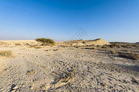 以色列内盖夫沙漠落基山脉的荒凉无穷中东令人窒息的景观和质背景图片
