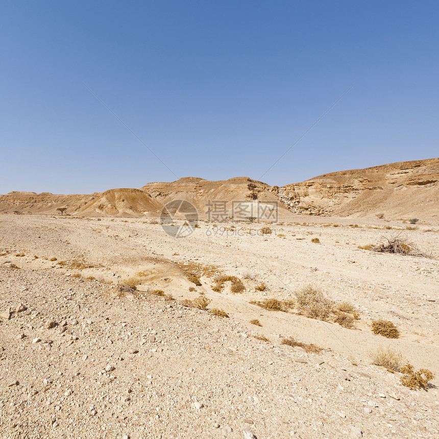 以色列内盖夫沙漠岩石山丘的忧郁和空虚中东令人窒息的景观和质图片