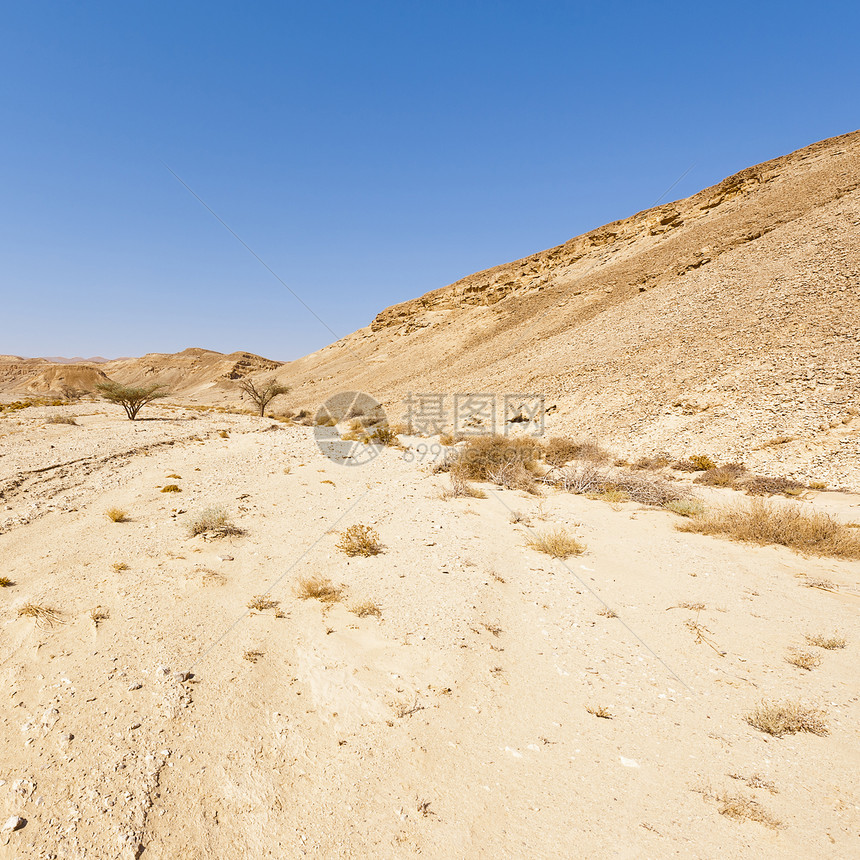 以色列内盖夫沙漠落基山脉的荒凉无穷中东令人窒息的景观和质图片