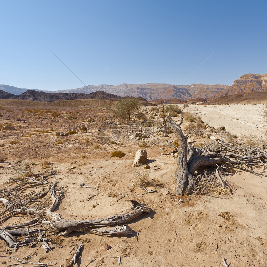 以色列内盖夫沙漠岩石丘陵的孤独和空虚中东令人窒息的地貌和质图片