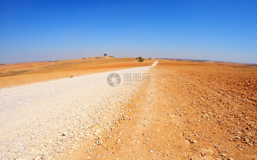 以色列南部沙漠地貌令人惊叹的泥土路图片