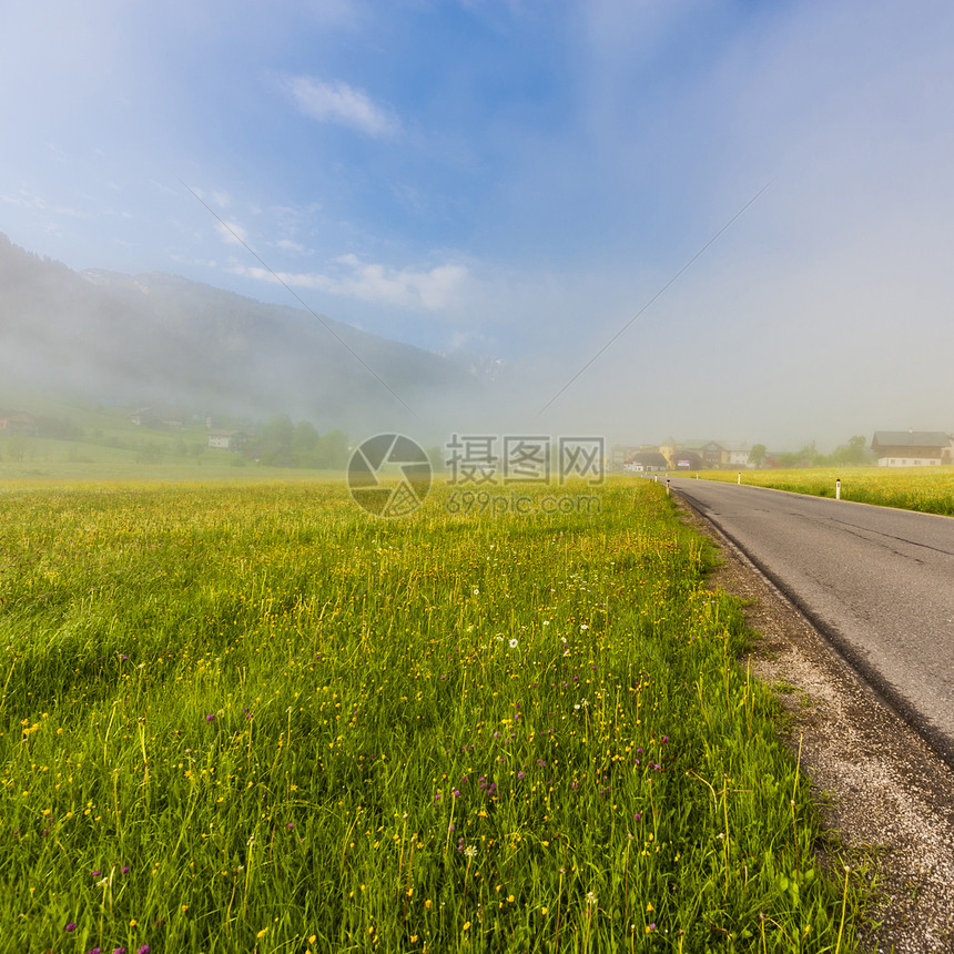 上午在奥地利风景中的沥青路上喷雾森林田地牧场和草原图片