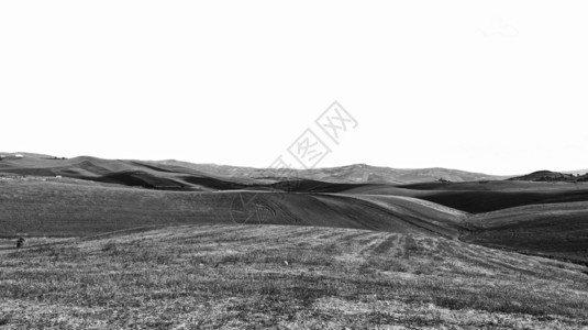 托斯卡纳的绿田和农意大利村景观黑白图图片
