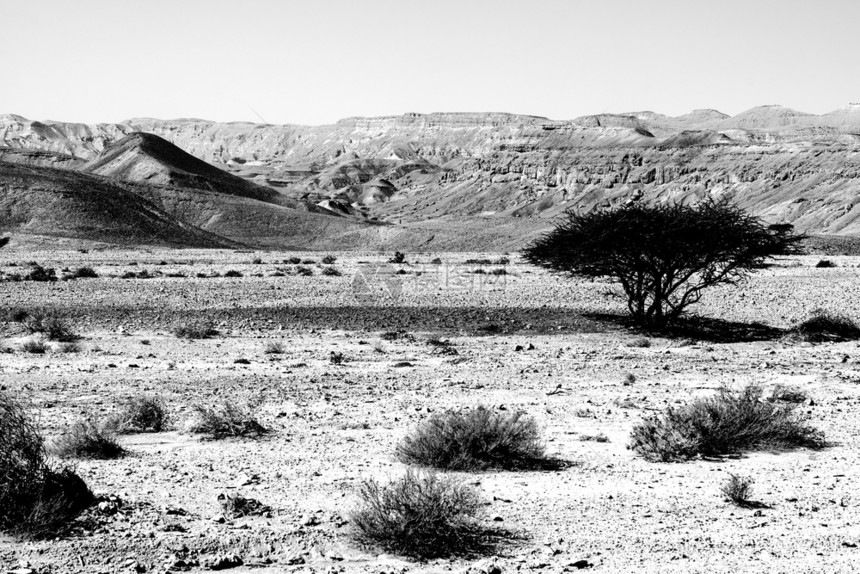 以色列内盖夫沙漠的落基山以色列南部岩层令人呼吸的景象被瓦迪斯山和深坑打断的尘土山黑白摄影图片