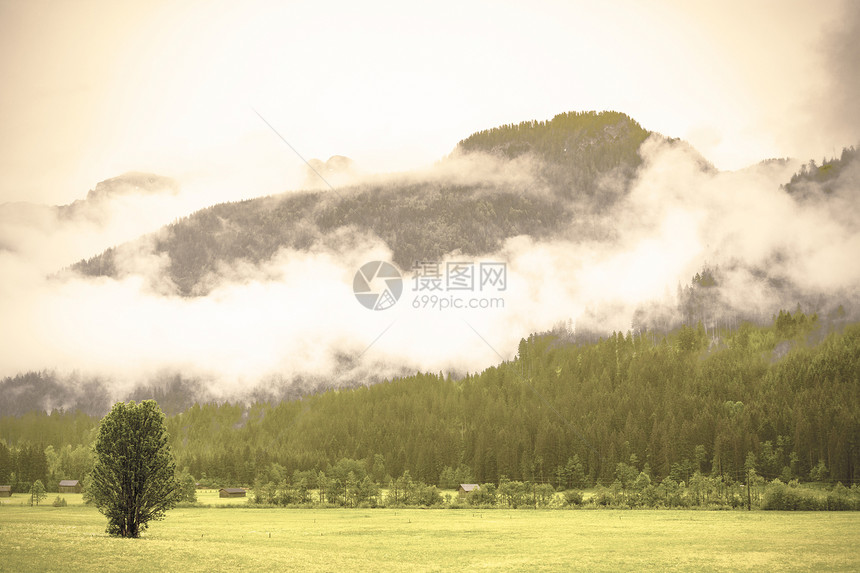 奥地利草原森林田地牧场草原和村庄的覆盖着奥地大草原的晨雾奥地利农村的雨和云层图片