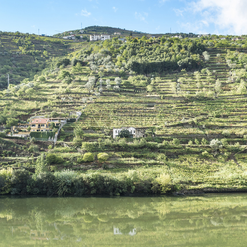在葡萄牙杜罗河地区在葡萄牙园和橄榄之间旅行图片