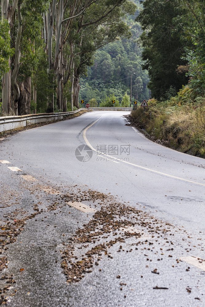 葡萄牙杜罗河地区葡萄园之间的沥青通风路上落叶图片